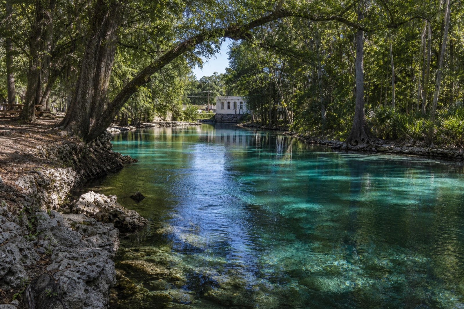 North Central Florida landscape