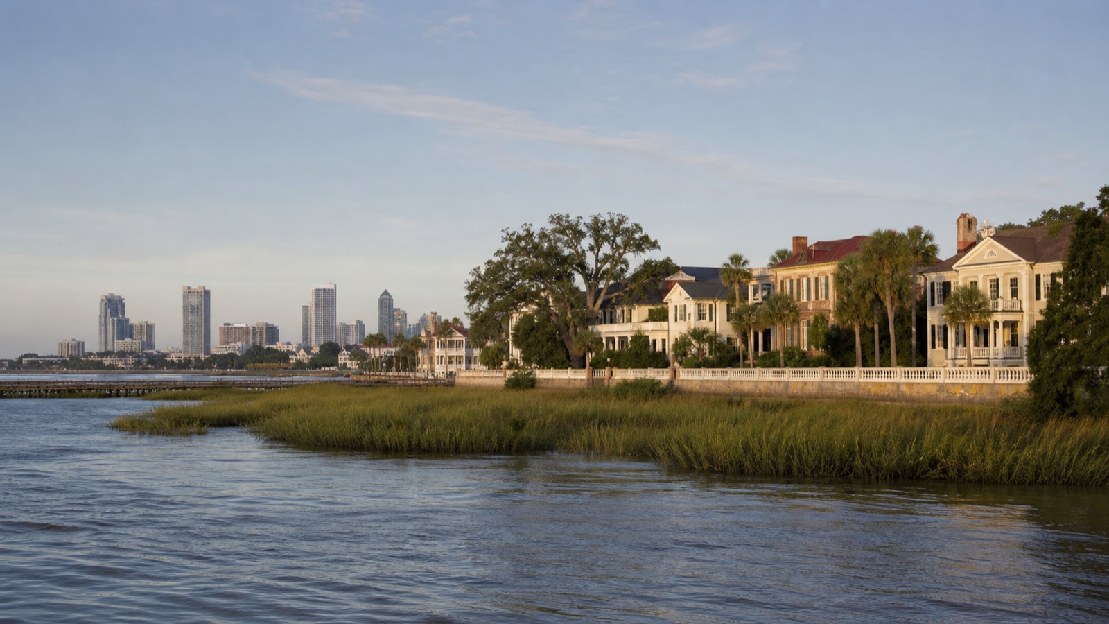 Northeast Florida landscape